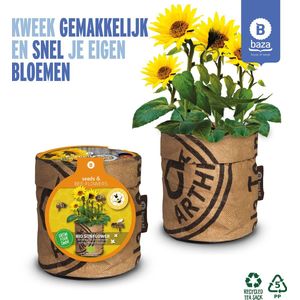 Seeds & BEE-Flowers kweekset Mini Zonnebloem/ duurzaam/ gerecycled/ BIO/ cadeau idee