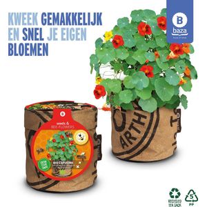 Seeds & BEE-Flowers kweekset Oostindische kers / BIO/ gerecycled/ cadeau idee