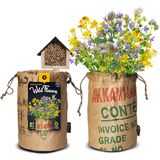 Baza Bio Wildbloemen Met Insectenhotel Geel