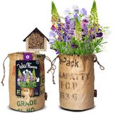 Baza Bio Wildbloemen Met Insectenhotel Paars