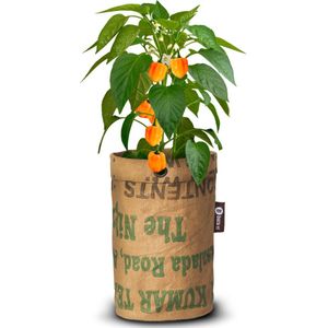 Baza Pepperclub Bio Habanero Orange