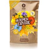 Baza Bloemen Explosie Bijenmix 15 m2