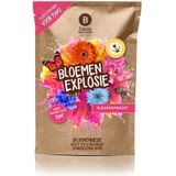 Baza Bloemen Explosie Kleurenpracht 15 m2