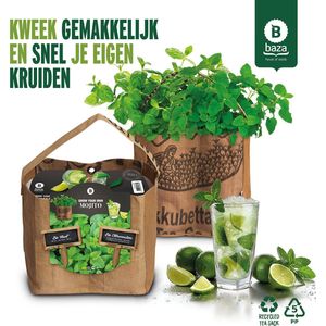 Baza Duo-Tuintje Mojito Bio Munt En -Citroenmelisse