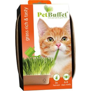 Baza Pet-Buffet Katengras Rich & Tasty Poes Set 3 x Kweken