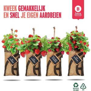 4x Hangtuintjes moestuin kweekset Aardbeien Nu Met Gratis FSC Houten Hangrekje!/ duurzaam/ gerecycled/cadeau