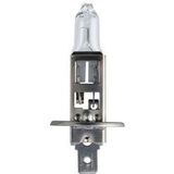 Philips - LongLife EcoVision - Autolamp - 12 V - Hoogwaardig Kwartsglas