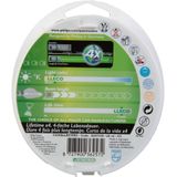 Philips H1 12V - LongLife EcoVision - Set