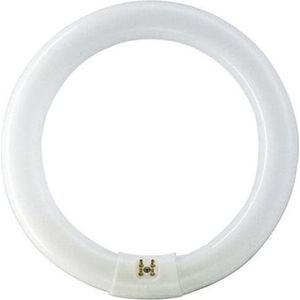 Philips - MASTER TL-E Circular - Fluorescentielamp - Neutraal Wit - 22.20 W - 1300 lm