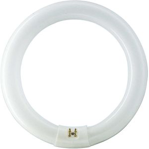 Philips MASTER TL-E Circular fluorescente lamp 22 W G10Q Koel daglicht