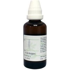 VSM Avena sativa oer 50ml