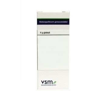 VSM Bellis perennis 30k 4g