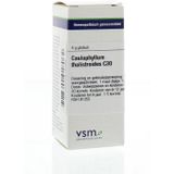 VSM - Caulophyllum Thalictroides C30 - Globuli - 4GR