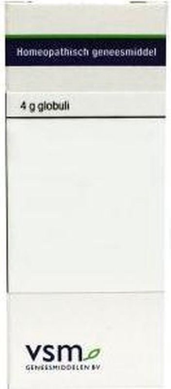 Vsm - Causticum LM30 - Globuli - 4G