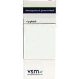 VSM - Gelsemium Semper - Homeopathisch Geneesmiddel - Inhoud 4GR