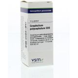 VSM - Gnaphalium Polyceph D30 - Globuli - 10 gram