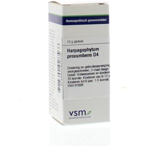 Harpagophytum Procumbens D4 - Homeopathisch Middel - 10gr