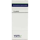 VSM - Iodium D30 - Globuli - 10G - Homeopathisch