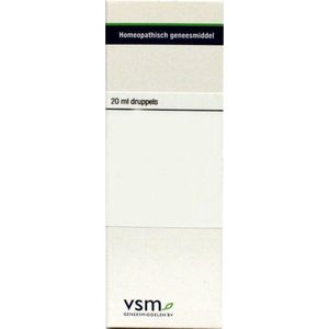 VSM - Phosphorus D6 - Homeopathisch Geneesmiddel - 20 ml