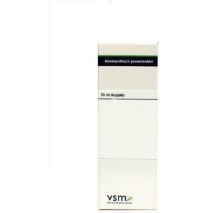 VSM - Ribes Nigrum - Homeopathisch Geneesmiddel - 20ml