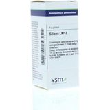 Vsm - Silicea LM12 - Globuli - 4G