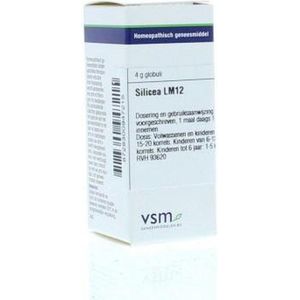 Vsm - Silicea LM12 - Globuli - 4G