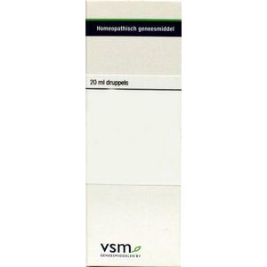 VSM Solidago virgaurea d6 20ml