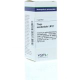 VSM Thuja occidentalis lm12 4g