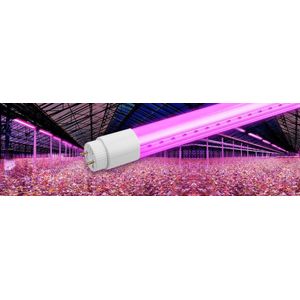 TL LED Buis Groeilamp / Kweeklamp - Full Spectrum - 14 Watt - 90 cm