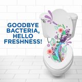 6x WC Eend Toiletreiniger Lavendel Fresh 750 ml