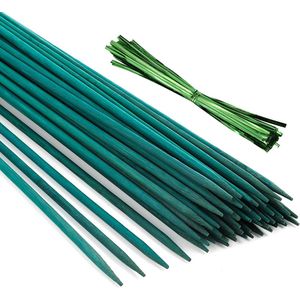 Ferrarium 50 stuks groene bamboestok geverfd 70cm Ø 6 mm - groene bamboestokken - groene plantondersteuning - groene sateprikkers