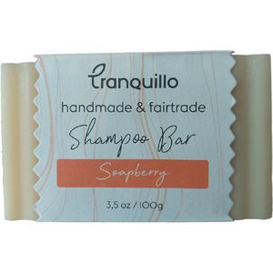 Floz Design shampoobar voor droog haar - soapberry fruitige bes - 100% natuurlijk - bio en fair - 100 gram