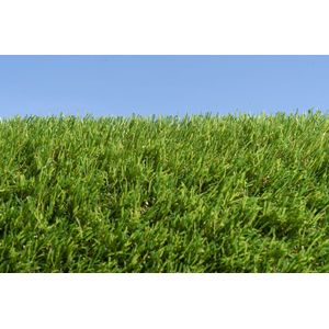 Kunstgras 4 x 14 meter - 30mm ✅ Nederlandse Productie - Uitgeroepen zachtste Grastapijt ✅ Waterdoorlatend | Tuin | Kind | Dier