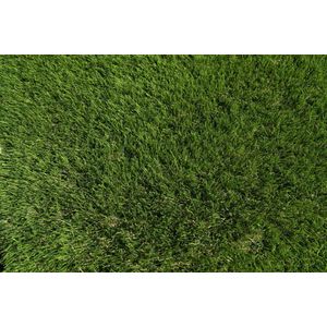 Kunstgras 2 x 12 meter - 40mm ✅ Nederlandse Productie - Uitgeroepen zachtste Grastapijt ✅ Waterdoorlatend | Tuin | Kind | Dier