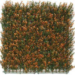 Greenmoods Kunstplanten - Kunsthaag - Buxushaag - Oranje - 50x50 cm - Voor binnen en buiten