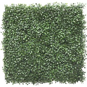 Greenmoods Kunstplanten - Kunsthaag - Buxushaag - 50x50 cm - Voor binnen en buiten