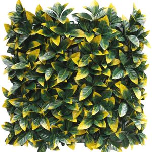 Greenmoods Kunstplanten - Kunsthaag - Buxushaag - Photonia geel - 50x50 cm - Voor binnen en buiten