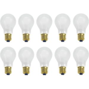 Gloeilamp - Mat - Grote fitting E27 - Standaardlamp - 200W - 65mm