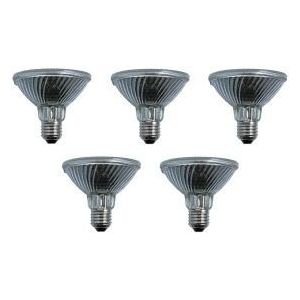 SPL | 5x Halogeen PAR Reflectorlamp | Grote fitting E27 | 100W