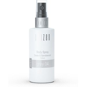 Janzen Body Spray Grey 04 - Set van 3