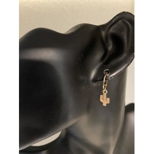Goudkleurige oorringetjes met cactus | Moederdag | Verjaardagscadeau| Cadeautje| Valentijnsdag| Kado | sieraden | vaderdag | oorbellen | oorsieraden