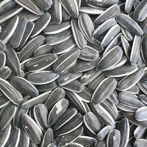Gestreepte zonnebloempitten- Zonnepitten- Gestreepte pitten- Vogelvoer- 1 kilo