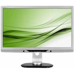 Philips 221p3l - 22 inch - 1920x1080 - DP - DVI - VGA - Zilver Nette Staat