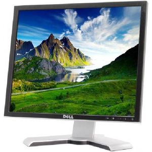 Dell 1907fpc - 19 inch - 1280x1024 - Zwart Zichtbaar gebruikt