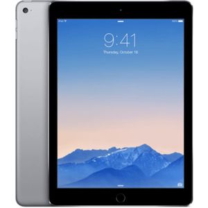 Apple iPad Air 2 - 64GB - Spacegrijs Zichtbare schade