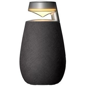 LG XBOOM 360 Mono draadloze luidspreker Zwart 20 W