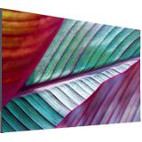 LG UR78 86 inch Zwart