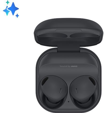 Samsung Galaxy Buds 2 Pro - Draadloze oordopjes met Noise Cancelling - Gray