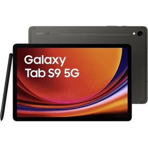 Samsung Galaxy Tab S9 11 inch 256 GB Wifi + 5G Zwart