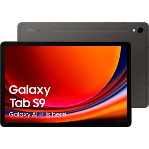Samsung Tab S9-X710 WiFi - 128GB - Graphite